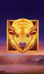 Buffalo's Sun