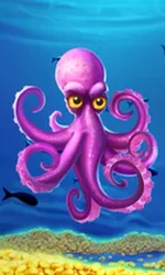 Crazy Octopus